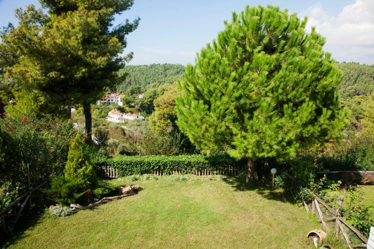 Elani Beautiful Villa Siviri Exterior photo